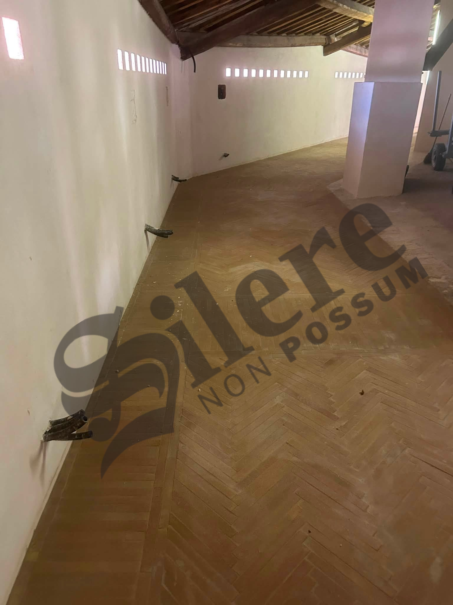 Galleria articolo