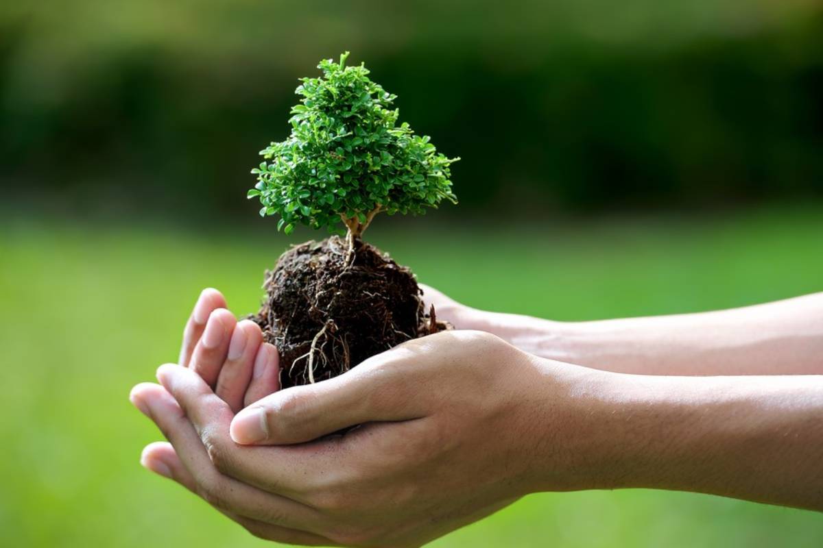 Cosa dice il documento dei teologi vaticani che vuole cambiare nome al «peccato ecologico»