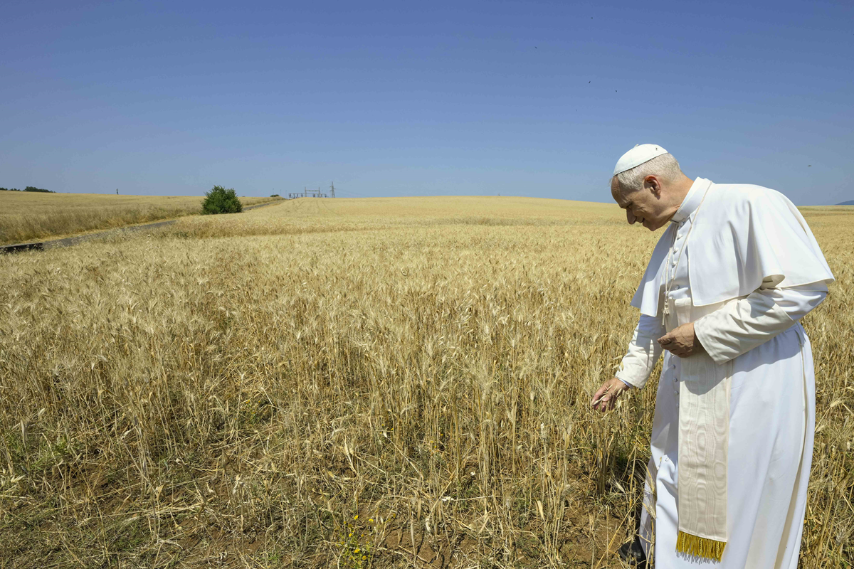 Italia e Santa Sede, insediata la Commissione per l’impianto agrivoltaico di Santa Maria di Galeria