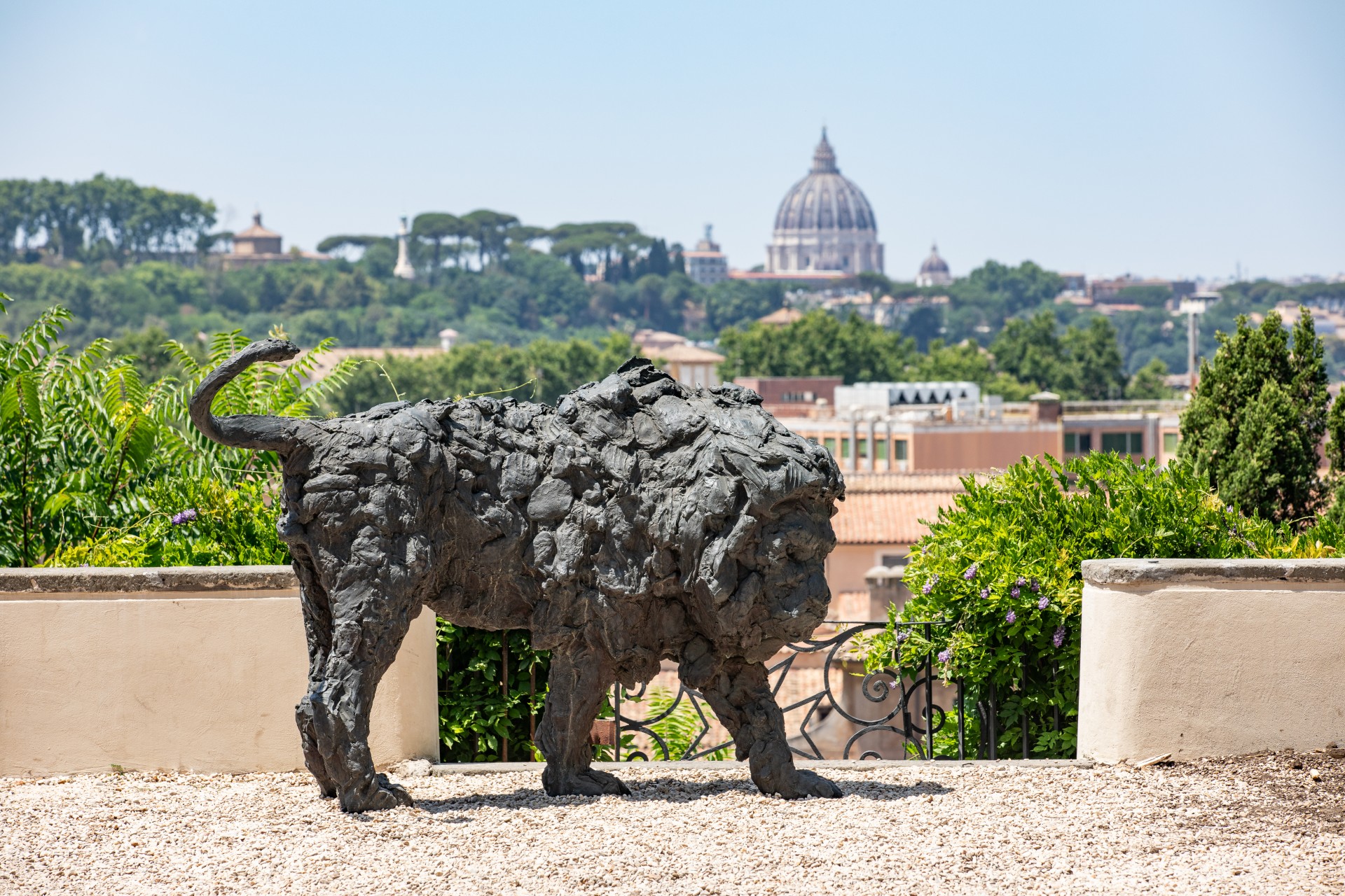 Un leone sull’Aventino: silenziosa sentinella della Città Eterna