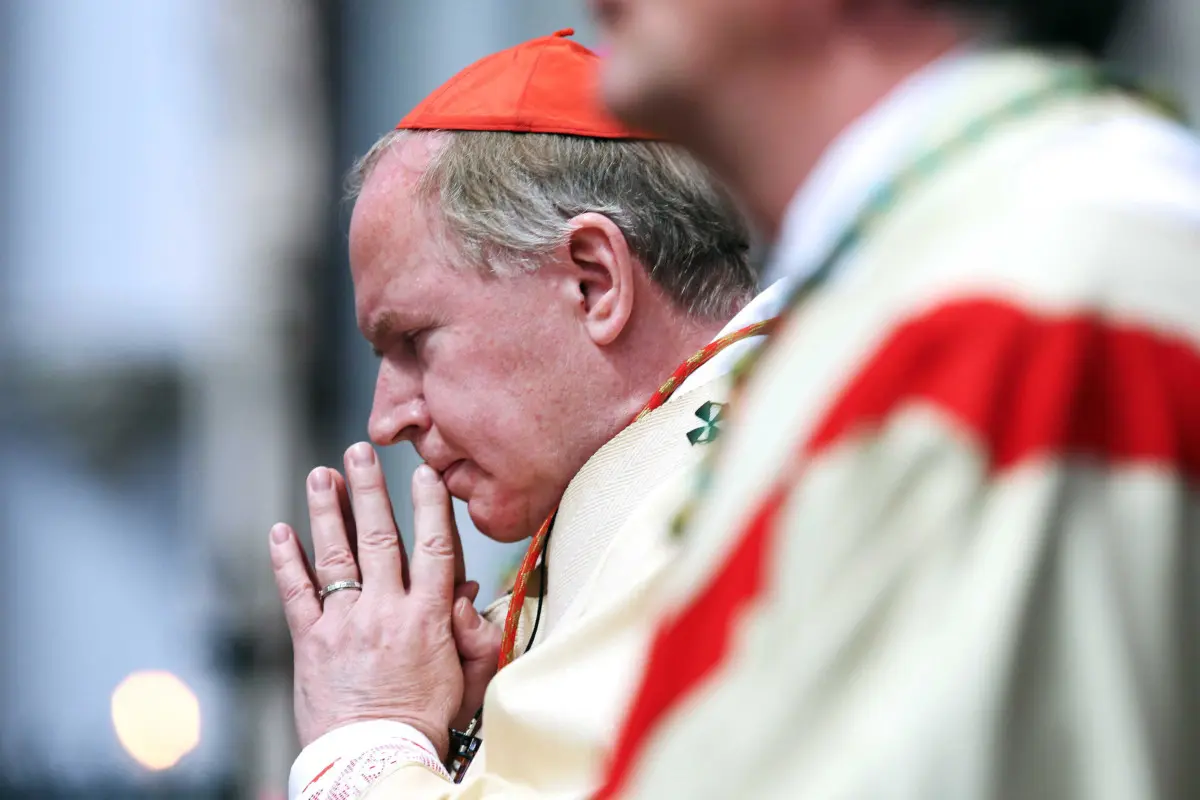 Leone XIV riceve in udienza il cardinale Eijk, arcivescovo di Utrecht