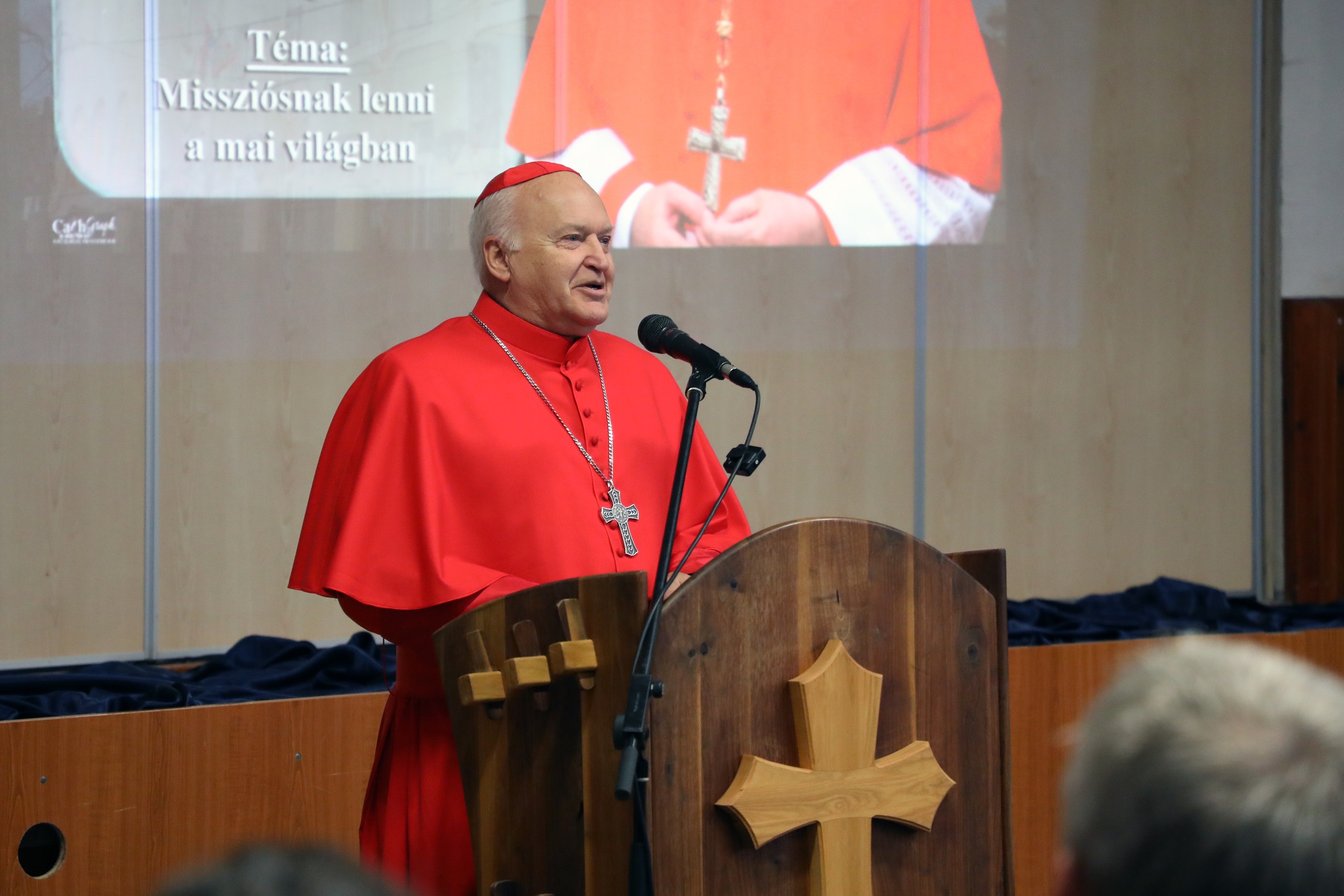 Chiesa e potere in Ungheria: il cardinale Német rompe il silenzio