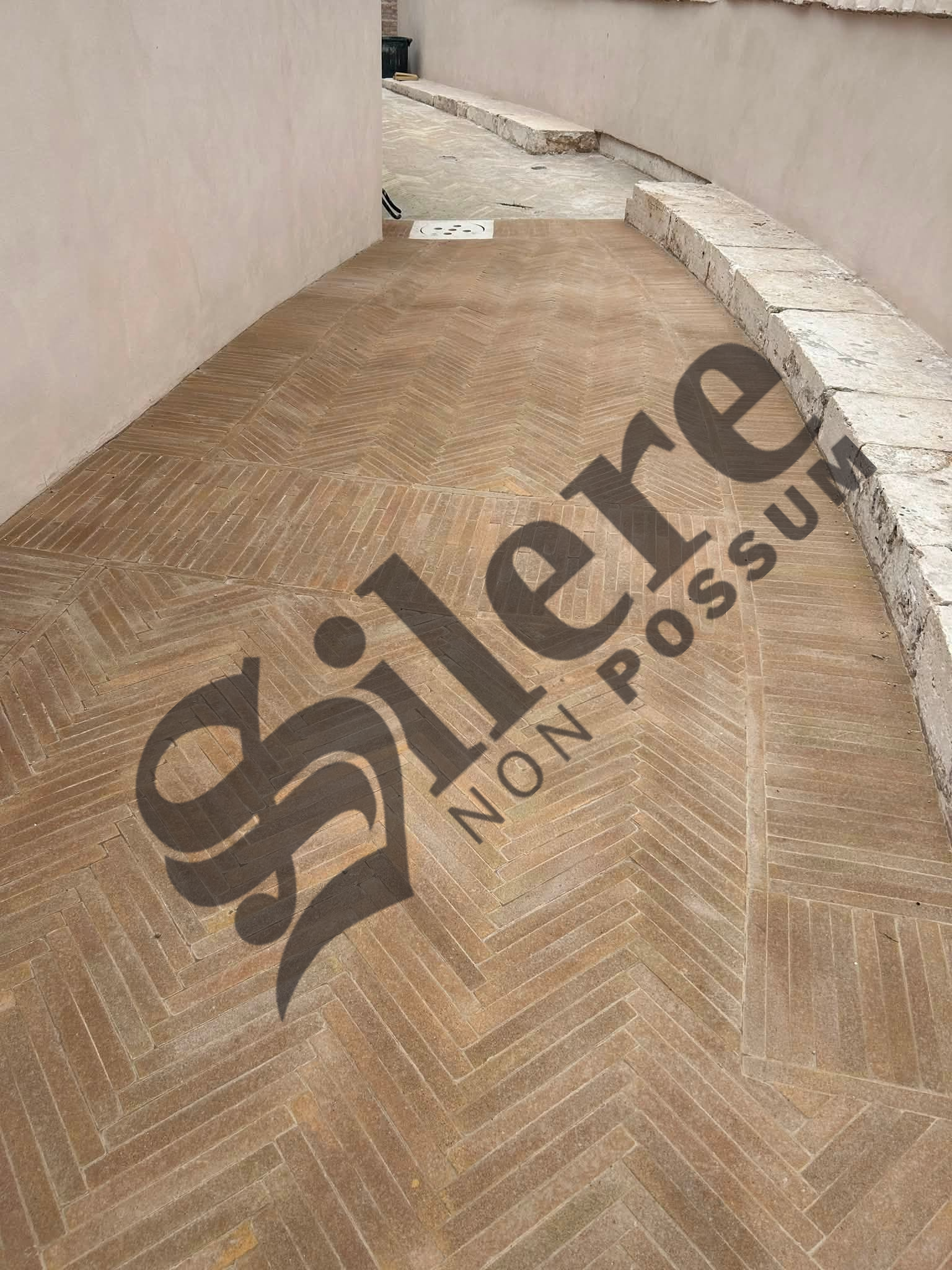 Galleria articolo