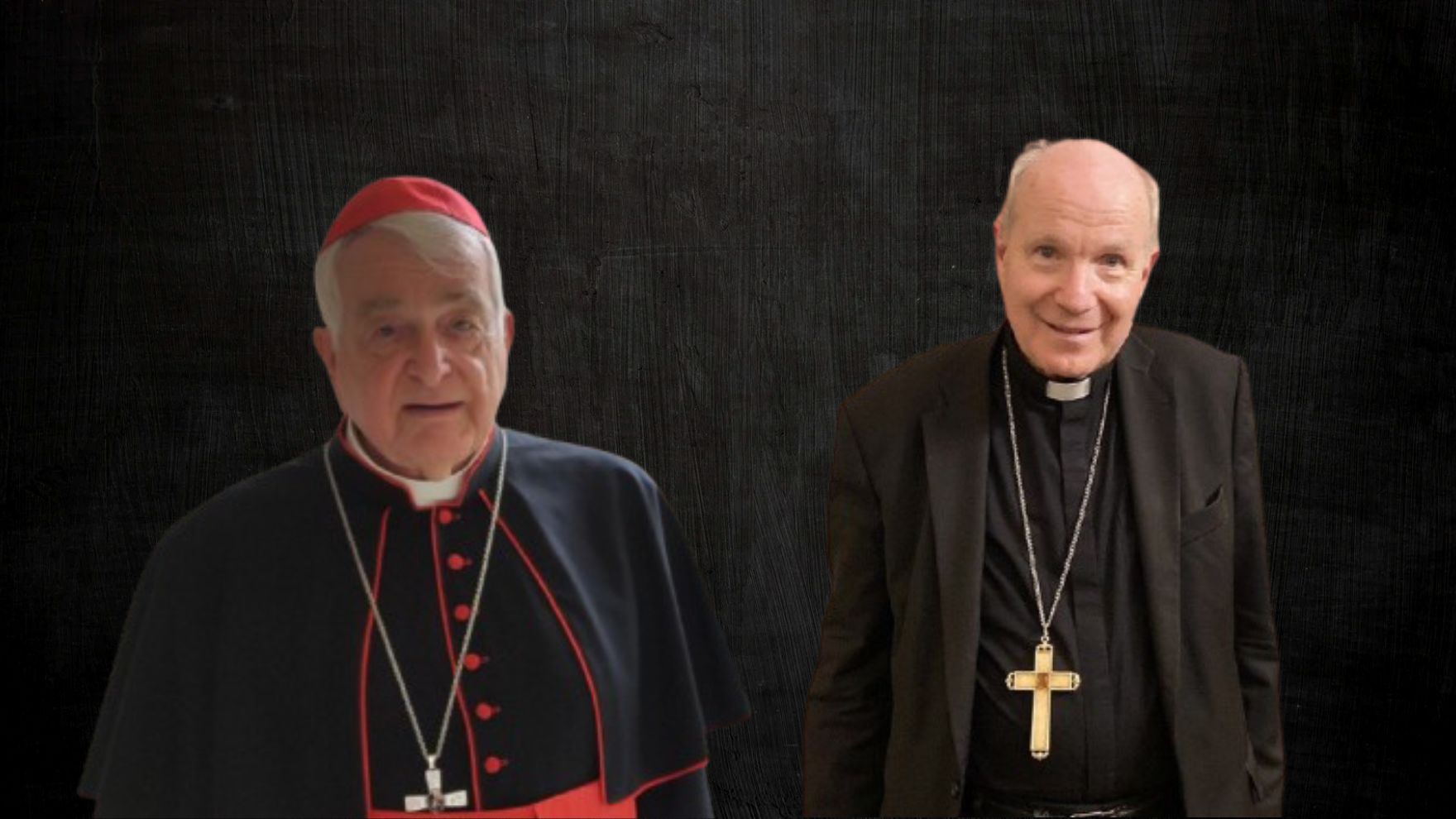 Il cardinale Schönborn è il nuovo presidente della Commissione Cardinalizia dello IOR