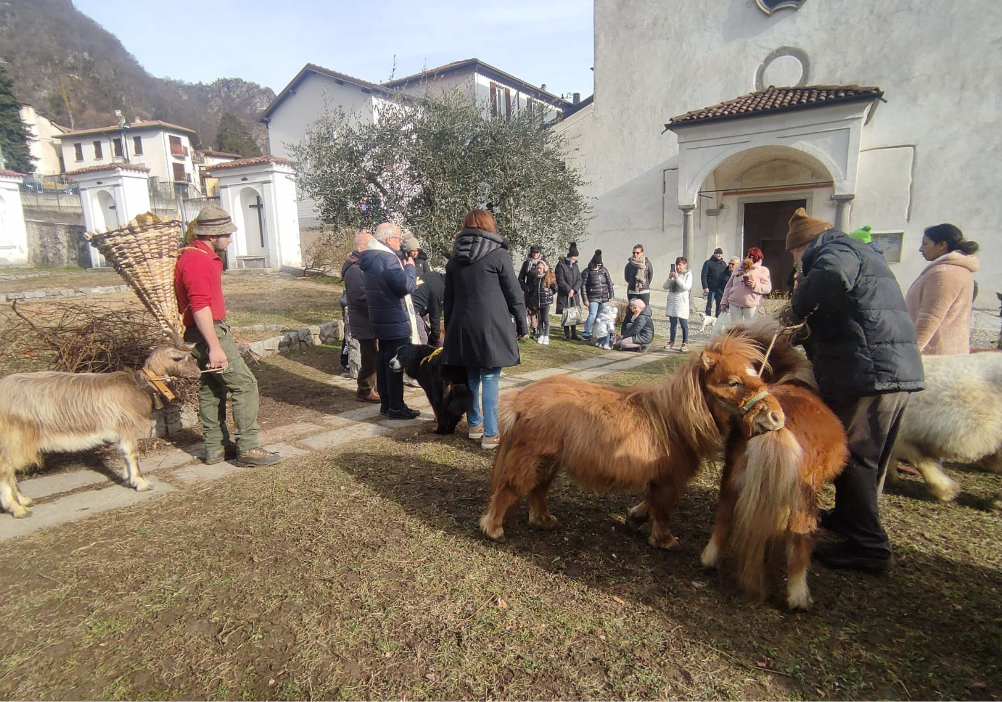 Dare la Comunione al cane è peccato? Il caso di Zurigo