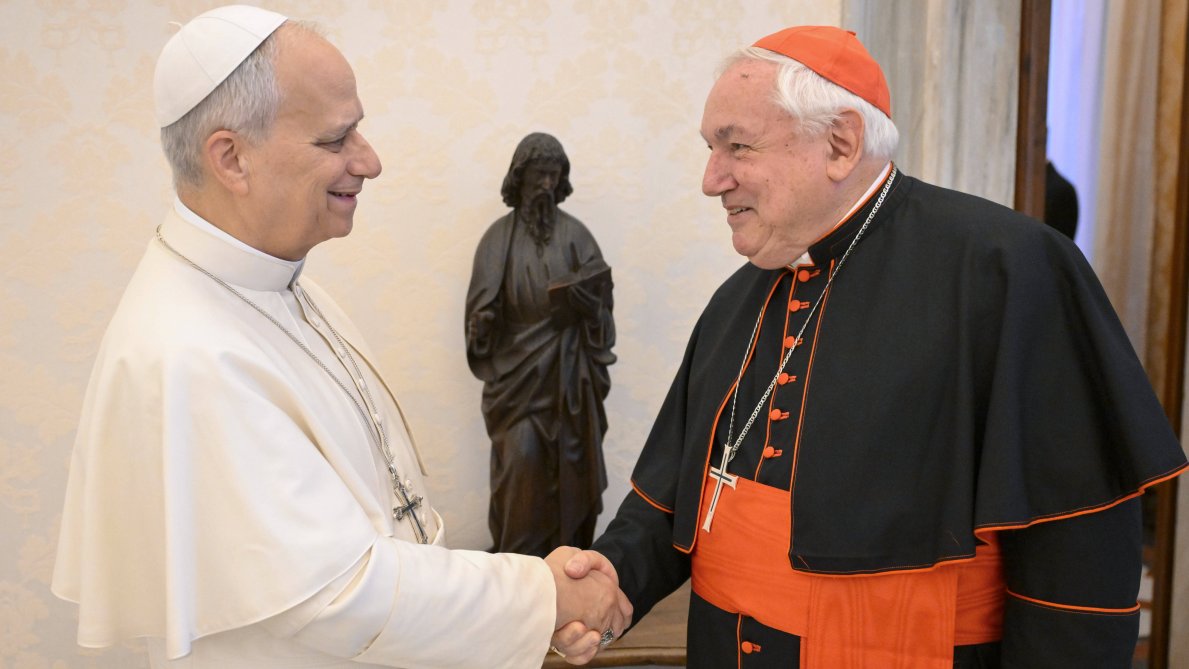 Francia. León XIV a los obispos: «Preocupa que en la Iglesia la Santa Misa sea motivo de división»